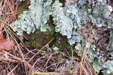 10803405056_IMG_0451